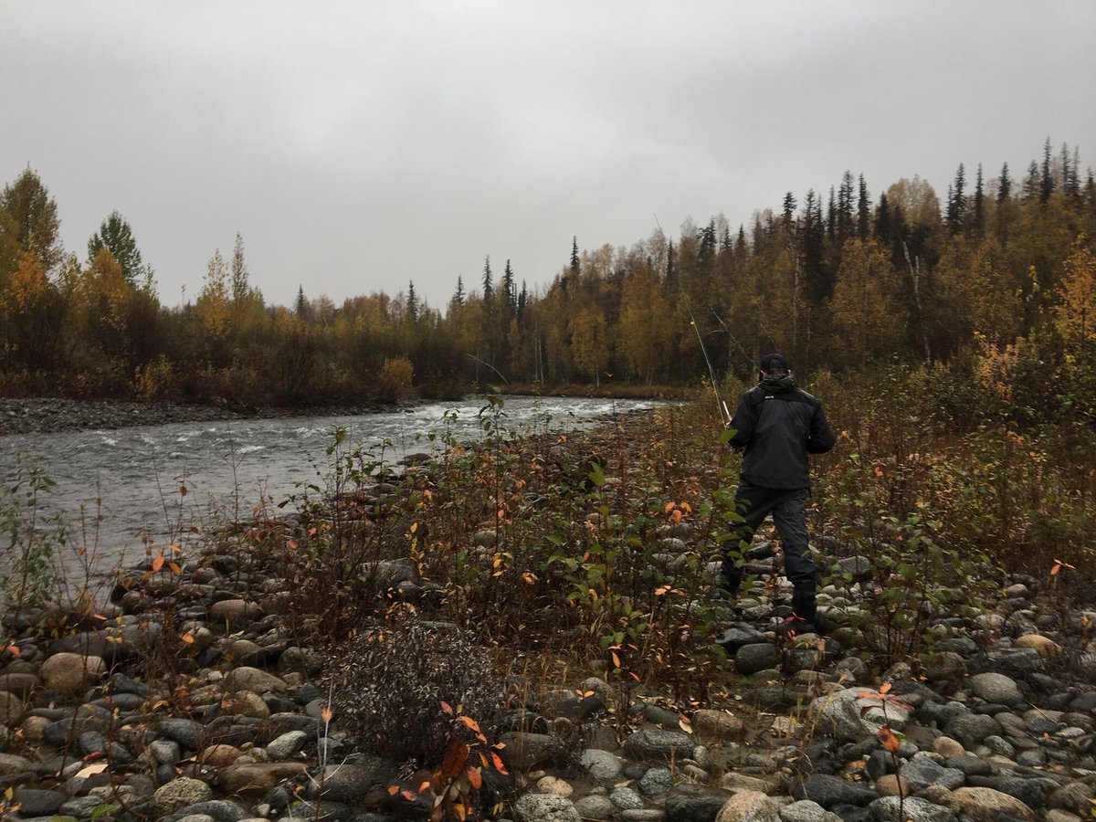 TroutUnlimited's tweet photo. Guiding the guide ... but no fish show up on this last-minute #Alaska adventure. https://t.co/tEaytvMFQe #GetOutInIt https://t.co/AXyQC46gyV