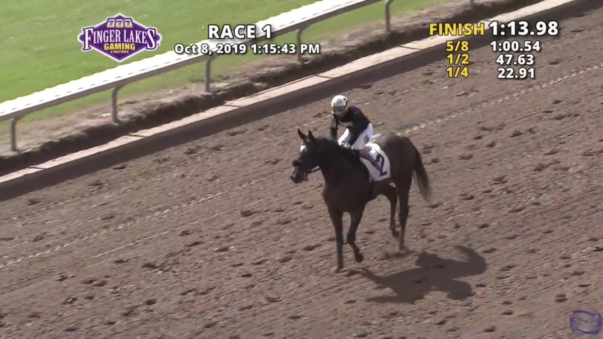 webbcarrolltrc's tweet photo. Another 2yo debut winner WASJUANNOWPAUL a graduate and yearling purchase for Durr/Englehart @FasigTiptonCo #secretcircle @HillnDaleFarm @jceracing 🐎🔥🔥🔥 https://t.co/uCrNi0pbBq