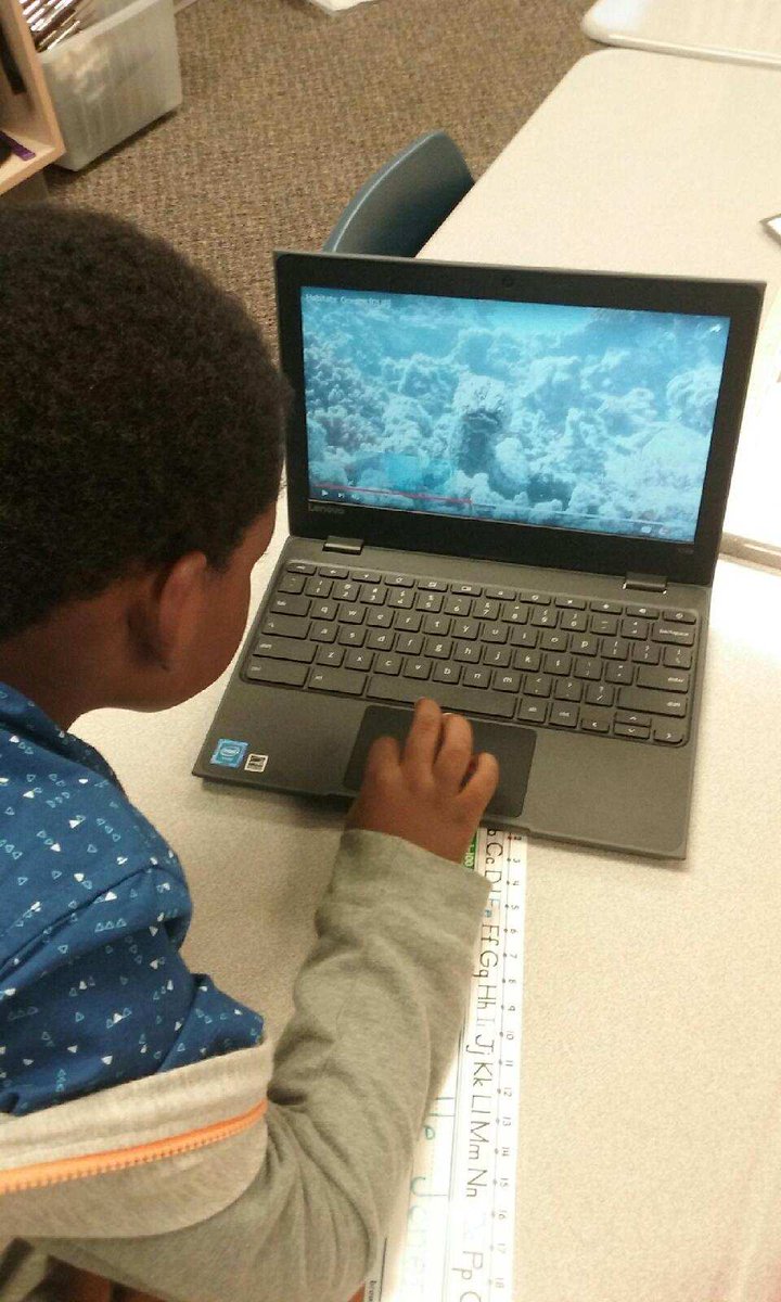 sbroyster's tweet image. Project Lead The Way. Students in @mclark1stgrade @CarverPrimary  are making their Animal Habitat posters. Using Chromebooks to watch videos on the habitat and then draw them. #OpelikaEdTech #MyOpelika @PLTWorg