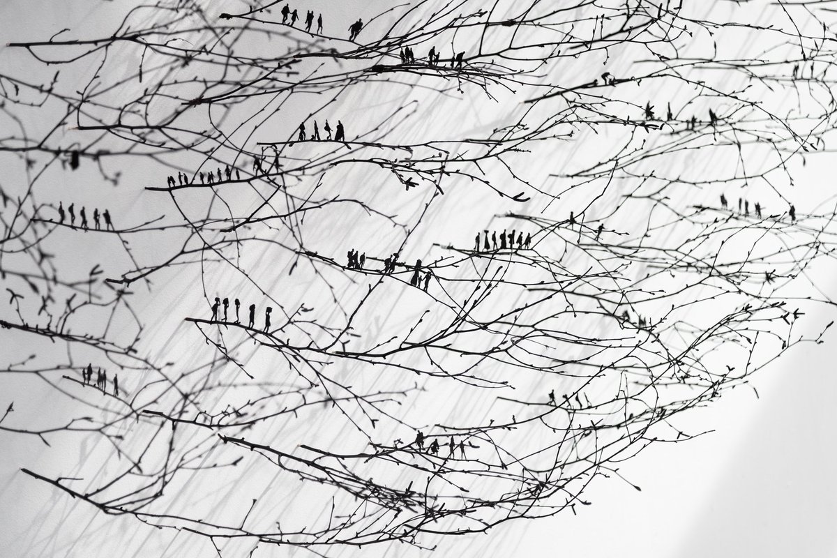 Fabulous photographs from Jed Niezgoda of Anita Groener's The Past is a Foreign Country. This is the last week to come and visit the exhibition here at Uillinn. The exhibition runs to Saturday 12 Oct at 16.45. Come and visit if you haven't been in yet, or come again if you have!