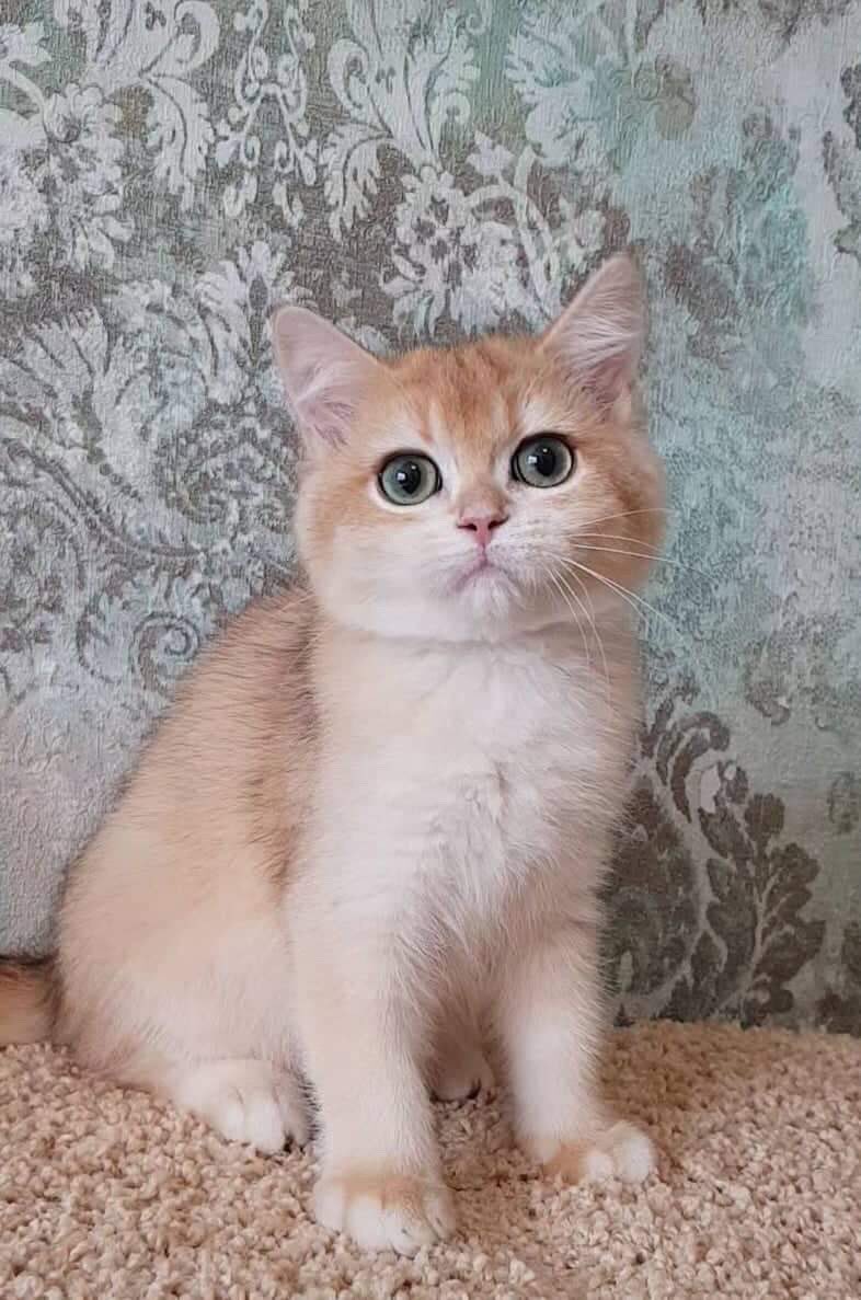 Natiilights's tweet image. จาบินมาอยู่ไทยสิ้นเดือนนี้แง้ววน้ามานู้ดด😂😂