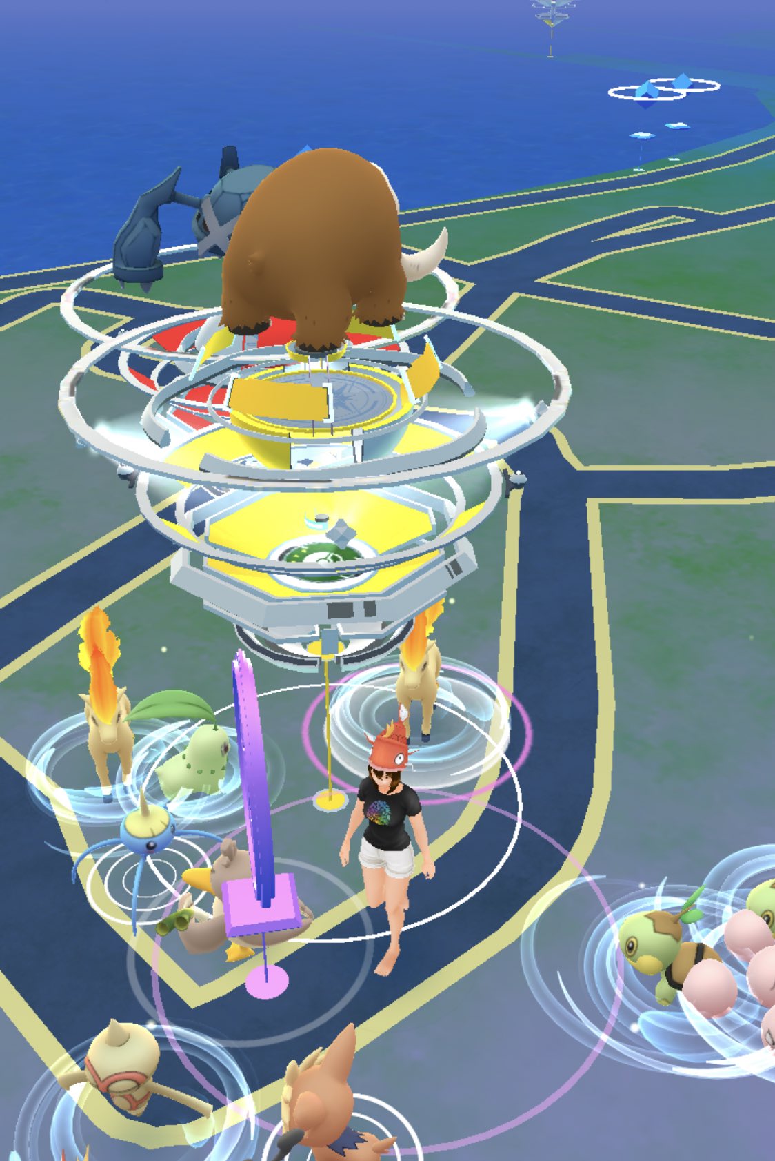 𝙼𝚊𝚔𝚒 こないだポケソース変更があって よーさん出るとこどこや って探してたけど やっと見つけた キラーン ポケモンgo T Co Qzi6pmsk96 Twitter 𝙼𝚊𝚔𝚒 こないだポケソース変更があって よーさん出るとこどこや って探してたけど やっと見つけた キラーン ポケモンgo T Co Qzi6pmsk96 Twitter