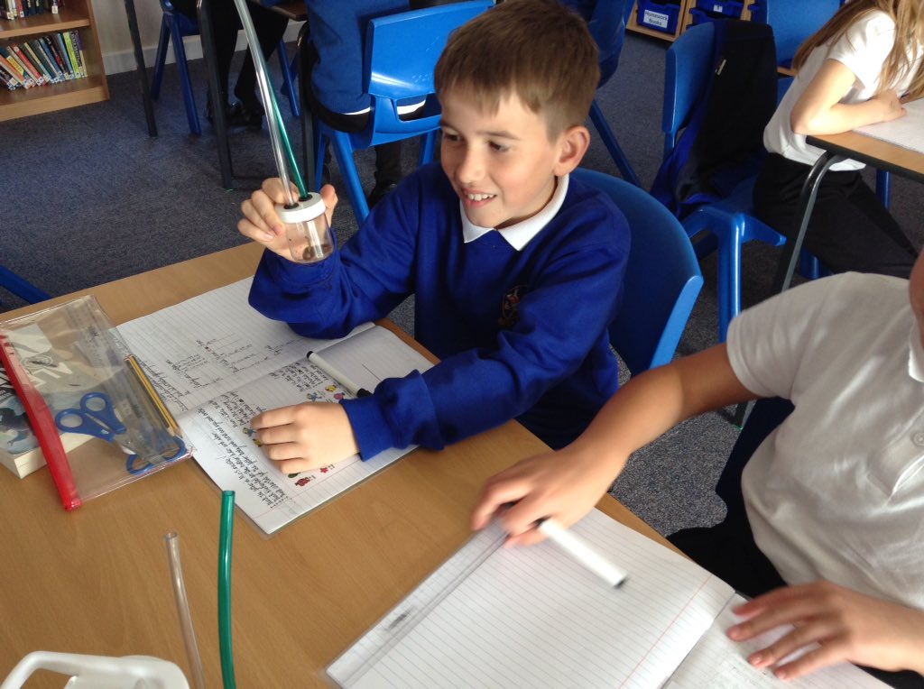 latimerprimary's tweet photo. #ClassBL have just been on a bug hunt looking at the different adaptations that they may have. #LatimerScience https://t.co/AqPwMQL1lx