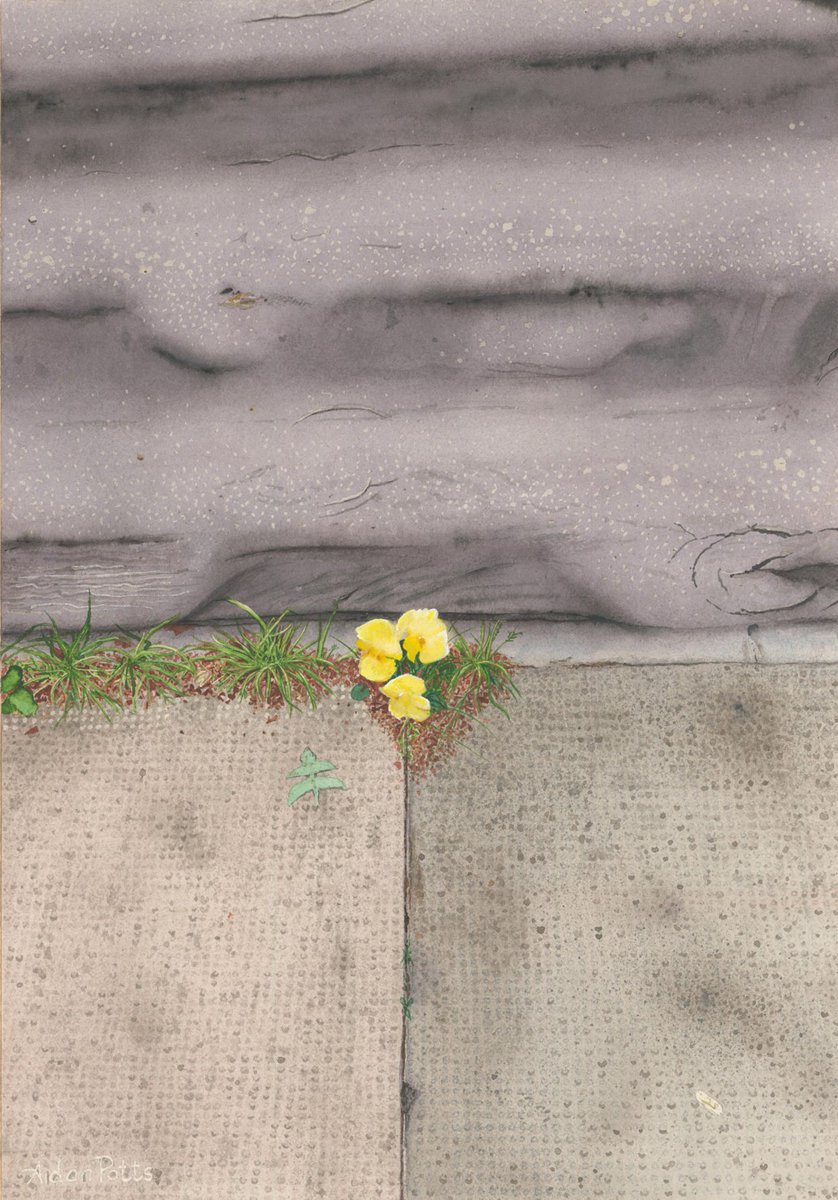 OldTownHallTrow's tweet image. Check out the Sunday Times Watercolour Competition at @TownHallArts for a superb selection of fresh, contemporary watercolour paintings by artists working across the UK! Here until 9 November and free admission... @ParkerHarrisCo #STWC #Trowbridge #Art