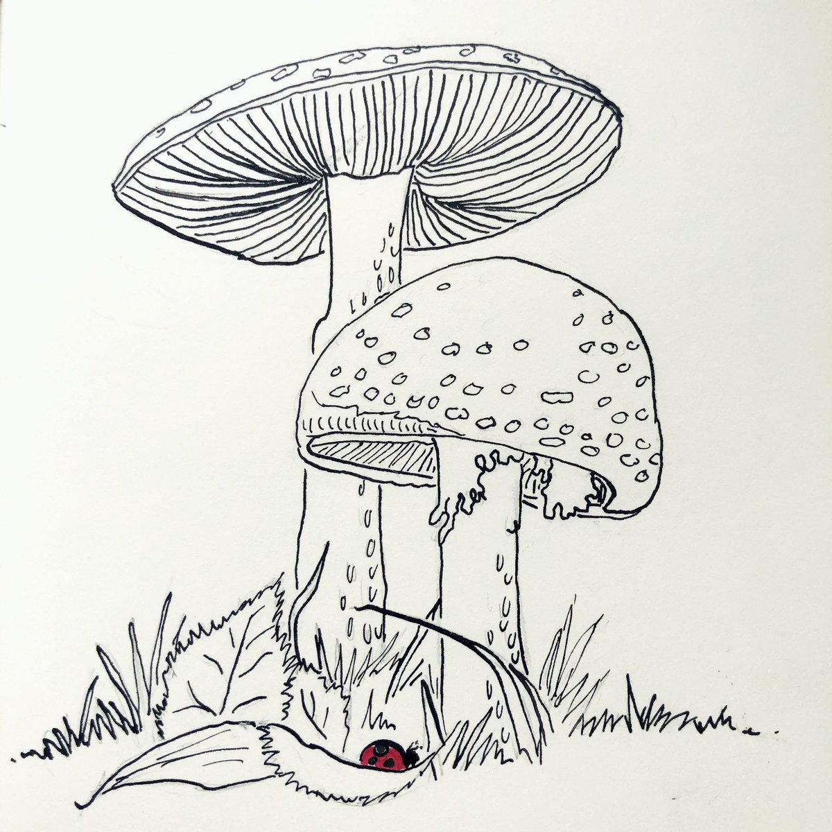 Day 7: E N C H A N T E D

#Inktober #Inktober2019 #inktoberDay7