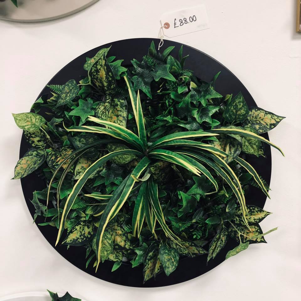 plantersuk's tweet photo. Give your wall an edge, more than just a picture in a frame - our Artificial Greenwall Frames 🎍🍃 this one is Dracena and Dieffenbachia and costs £88, message now to reserve it 📲 https://t.co/MFOcj2WvSI