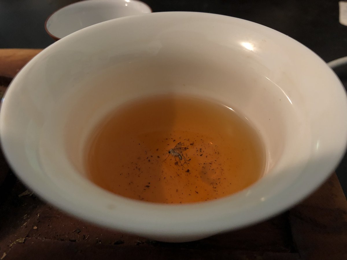 TeaSwallow's tweet image. Poor retch. What a way to go. On the other hand if you have to drown tea is probably the best way to do it