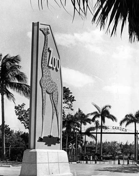 MuseumofMiami's tweet photo. Crandon Park Zoo was in Key Biscayne from 1948 until the late '70s, when it moved to South Dade &amp; was renamed Miami Metrozoo. From there, it once again changed its name in 2010 to the Miami-Dade Zoological Park &amp; Gardens, also known as @zoomiami!
📸 Miami News Collection, 1966 https://t.co/zC3kRXHDxn