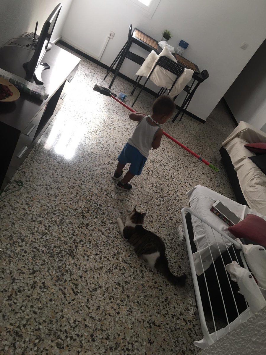 Janine Sandell tweet media