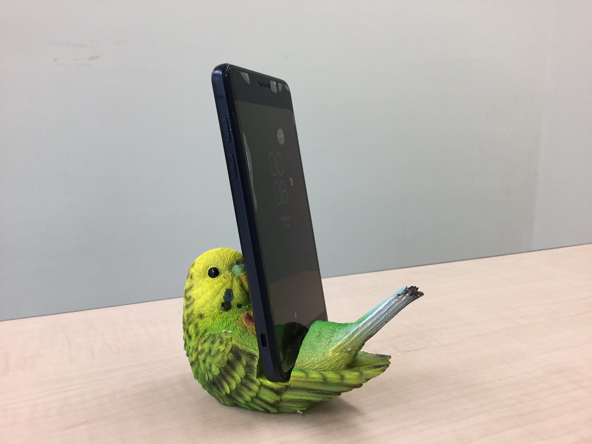 インコ生活 実は昨日が誕生日だったのですが 鳥好きをアピールしていた結果 ノーマルのセキセイインコ型スマホスタンドのプレゼントをいただきました セキセイインコがニギコロの体勢で スマホを大事そうに抱えてくれます 大切に使いたいと思います