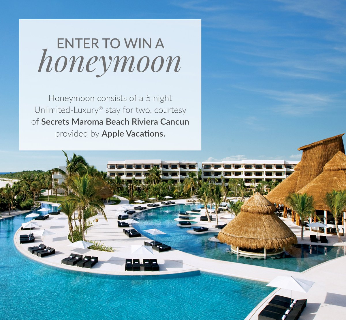 Chicago Style Weddings - The Celebration Society tweet media