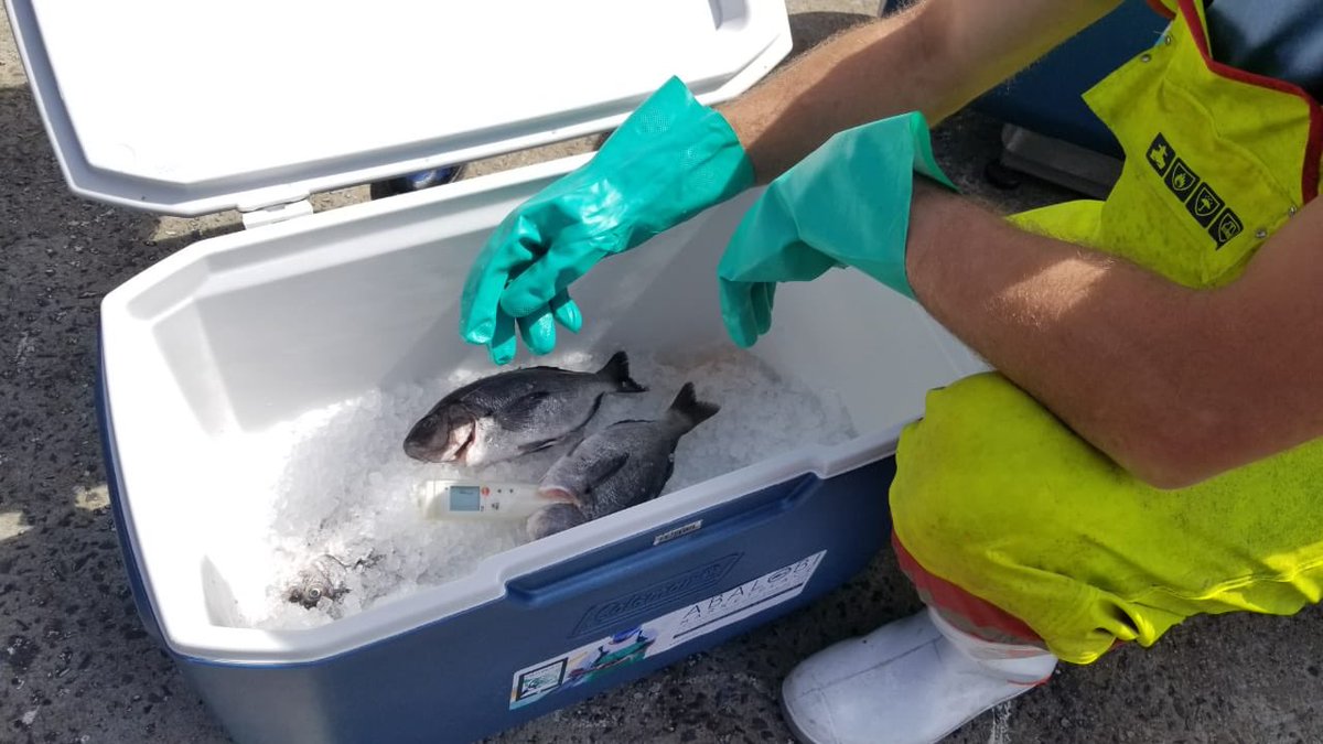 Horacio Rodríguez tweet media