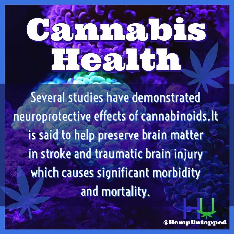 Hemp Untapped tweet media