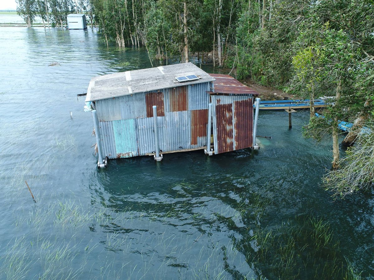 Daily Bulletin (@uwdailybulletin) on Twitter photo #UWaterloo <a href="/ArchWaterloo/">WaterlooArchitecture</a> prof, <a href="/ECEnglishBFP/">Elizabeth C. English</a>, received a first place #sustainable design award for retrofitted houses that float without damage during flooding. Learn more: uwaterloo.ca/daily-bulletin… #UWaterloo <a href="/ArchWaterloo/">WaterlooArchitecture</a> prof, <a href="/ECEnglishBFP/">Elizabeth C. English</a>, received a first place #sustainable design award for retrofitted houses that float without damage during flooding. Learn more: uwaterloo.ca/daily-bulletin…