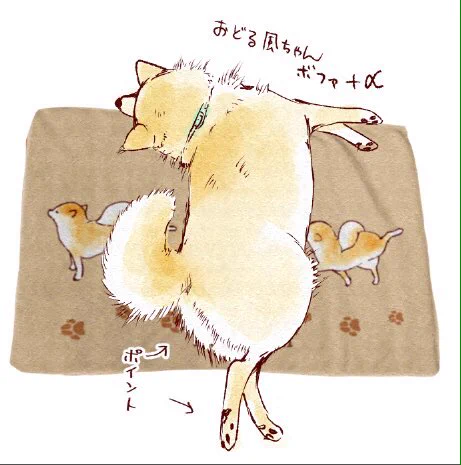 @Fuumakisuke @knk211_mnk323 (`・ω・')キリッ🌟横から失礼をば!本人の知らない所で何て嬉しい会話をしてらっしゃるんですか…‼️おふたわんには無理矢理ブランケットを敷かせて頂きました💕 