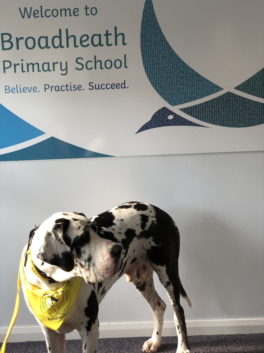 Broadheath Primary tweet media