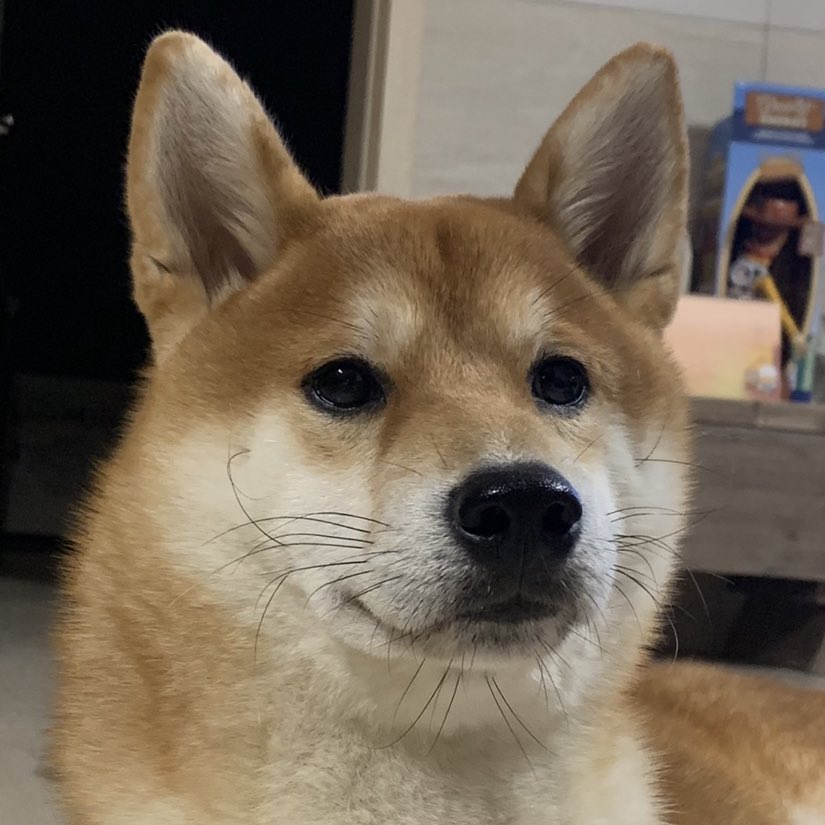 세월을 정통으로 맞았어