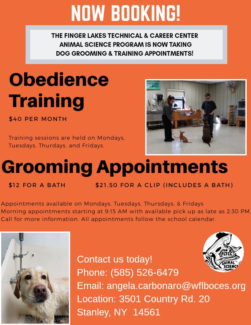 FLTCC_AnSci_1's tweet photo. Don't forget, we offer dog grooming!
#wearefltcc #wflboces #fltccanimalscience #doggrooming https://t.co/qLRY5mWbBk