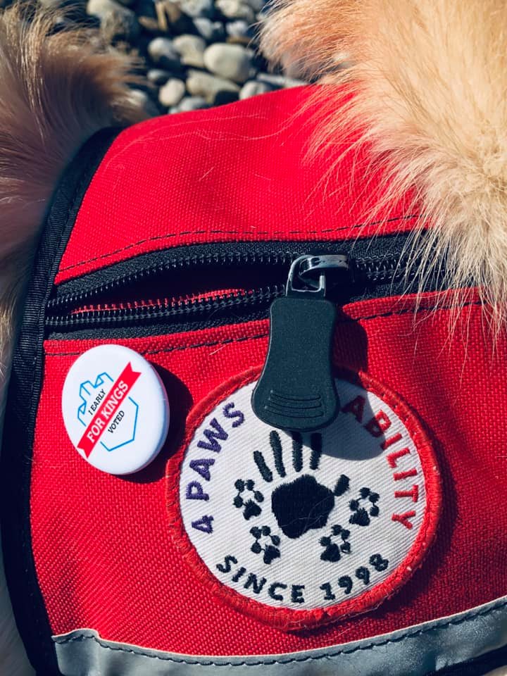 BuildKN's tweet photo. Early Vote for Kings, stop by to see Shiloh and receive your ‘I early Voted’ button!
#VoteForKings
#BuildKnightNation https://t.co/urGTkNGl6J