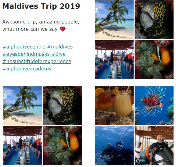 Alpha Dive Centre tweet media