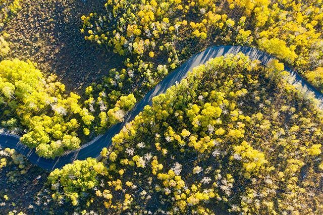 A birds eye view of Pine Canyon road in Midway, UT. Who else is getting out to capture all the fall colors? #aerial #drone #photography #midway #Utah #autumn #fallcolors ift.tt/2nozI02