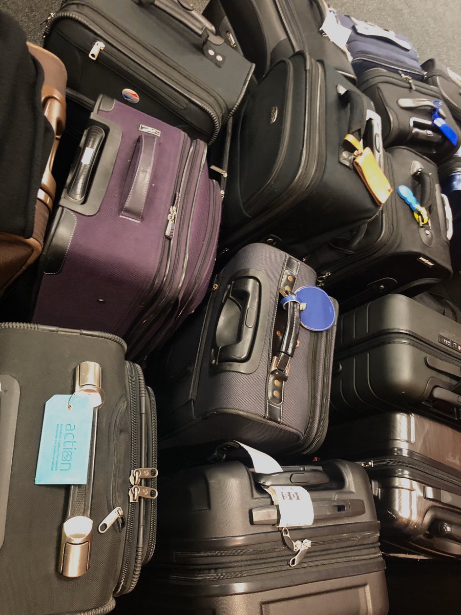 Amy Donnellan tweet media