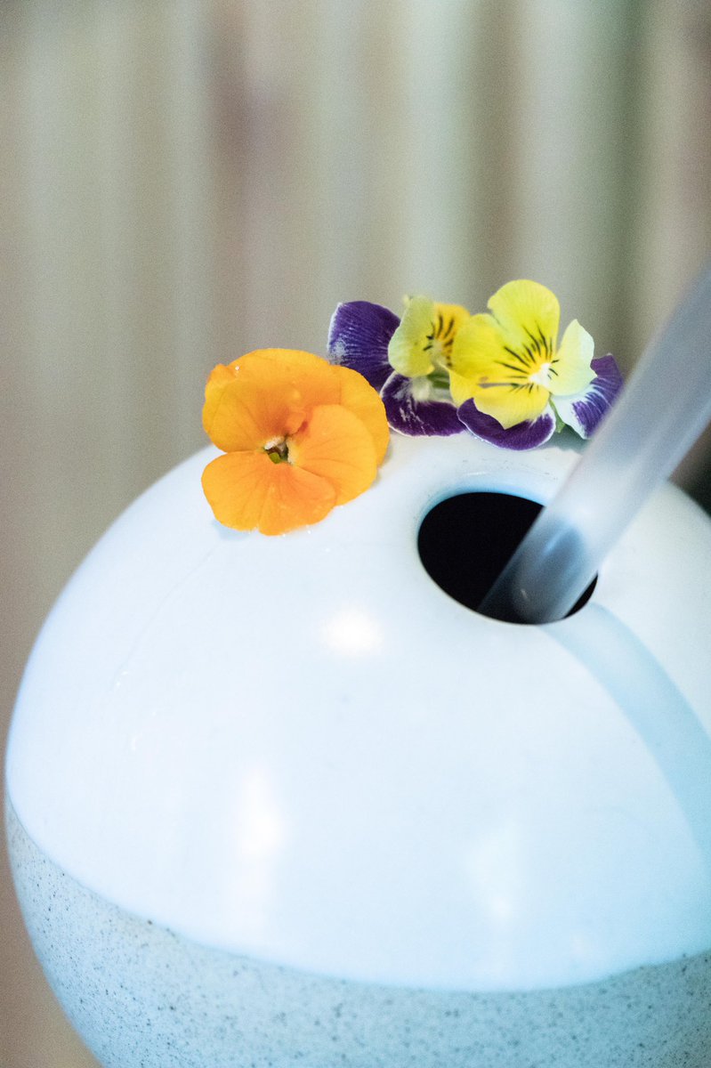 🎋SAMURAI SOUR🎋Sake de fresa y canela,ginebra infusionada con lima keffir,lemon grass y jengibre y mix de cítricos.Un arroz asiático digno de nuestro Japo @umorestaurante con toques de fruta del bosque y especias,agua de azahar,enebro, hierbas,jengibre tostado y chispas cítricas