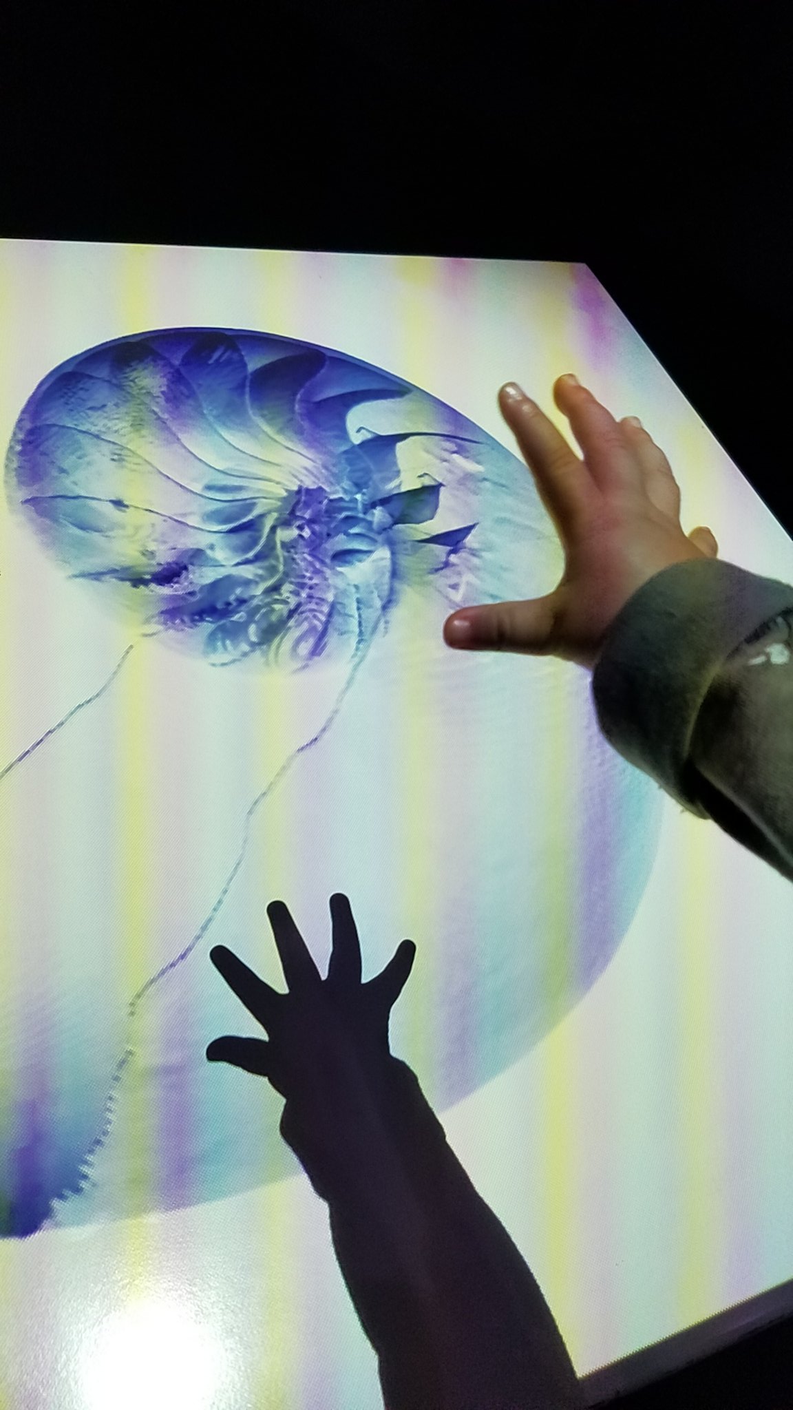 ドリ 4y 魚を見たい娘を連れてニフレル行ってきた コブダイを クジラ と言い カタナ 魚 チューイチュイ ペンギン カワウソにくぎづけ 手で影絵を作りお絵かきもして楽しかったようでした T Co Rdd6jinnr3 Twitter