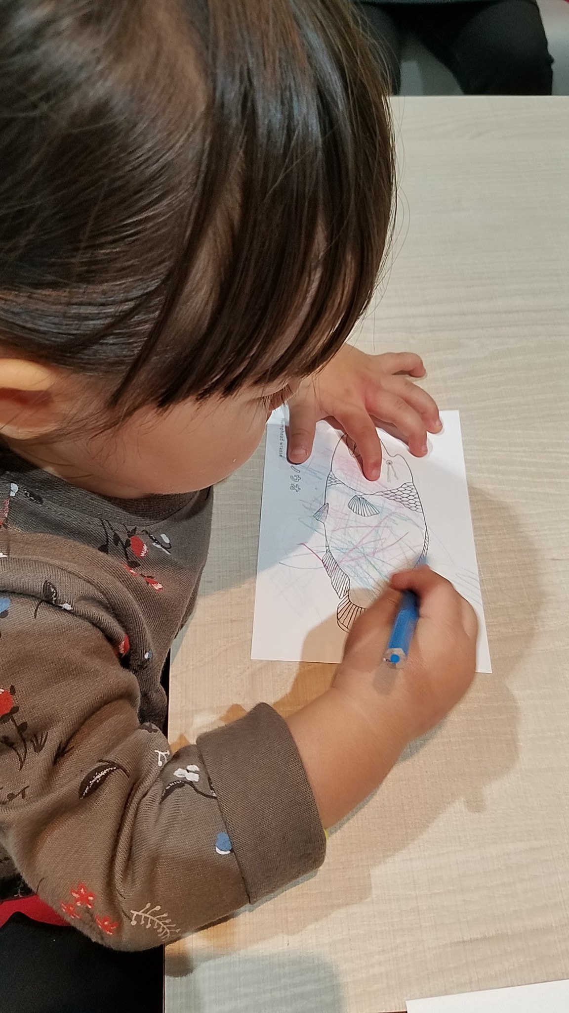 ドリ 4y 魚を見たい娘を連れてニフレル行ってきた コブダイを クジラ と言い カタナ 魚 チューイチュイ ペンギン カワウソにくぎづけ 手で影絵を作りお絵かきもして楽しかったようでした T Co Rdd6jinnr3 Twitter