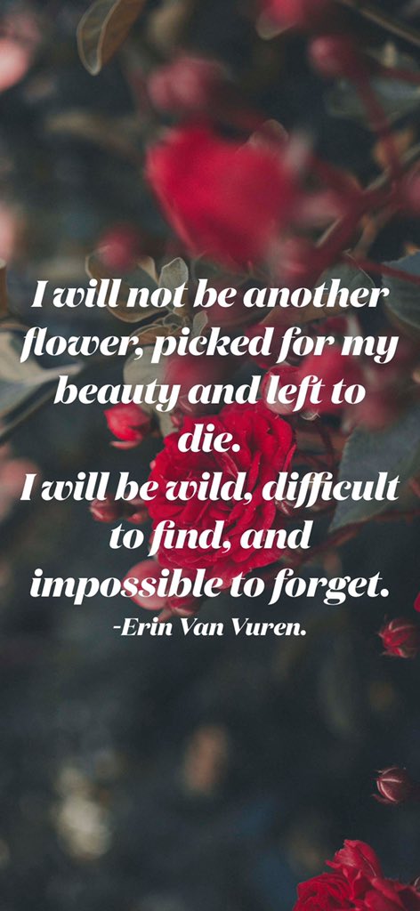 itsmyprocess's tweet image. Bloom where you’re planted. Grow through what you go through.