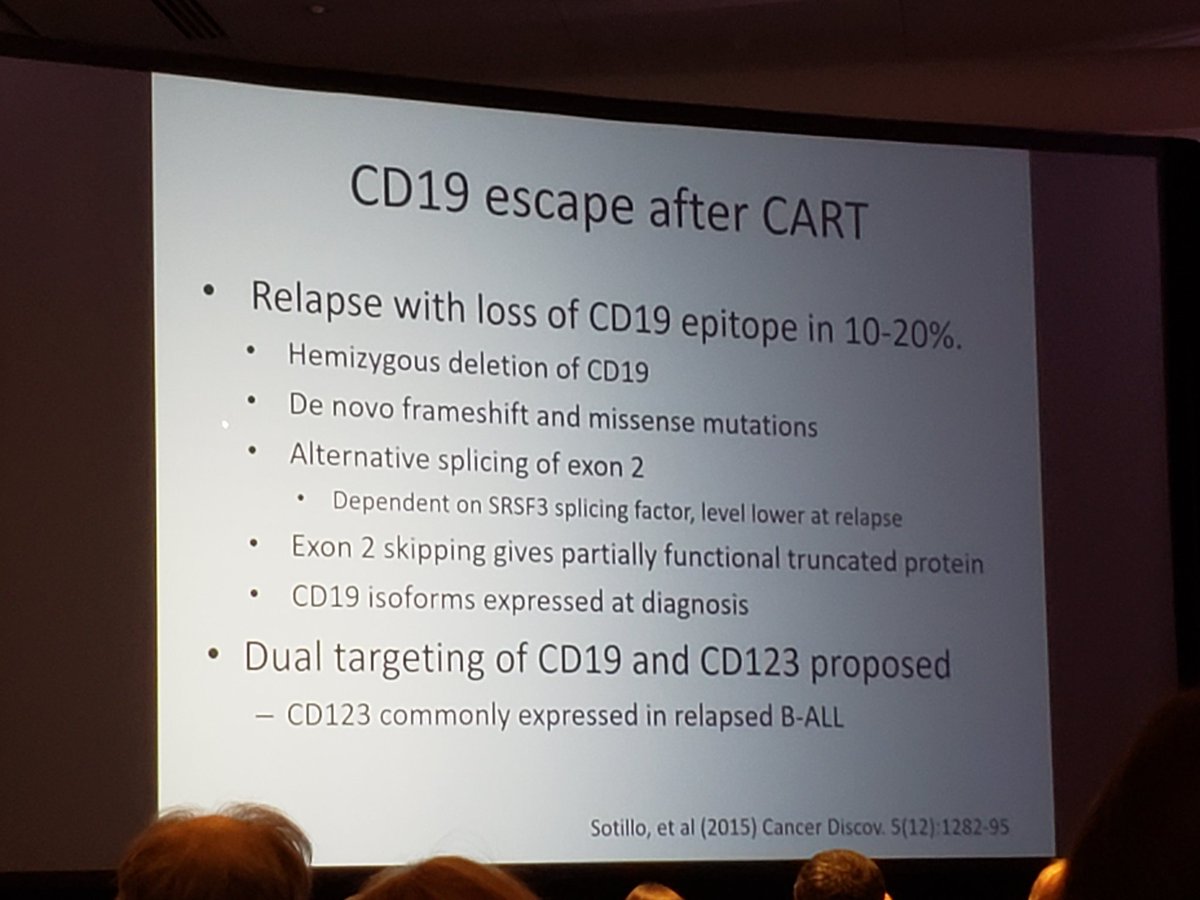 brianwong_path's tweet photo. Mechanisms of CD19 escape after CART #FlowICCS19 https://t.co/e6SKqssJRF