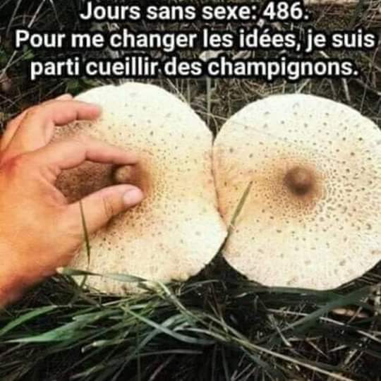 Pourquoi aller chercher des champis en ce moment ?  1-Vous pouvez me croiser 2-Au pire vous trouverez<a href="/tag/moissanstabac"class="tags"><span>#moissanstabac</span></a>