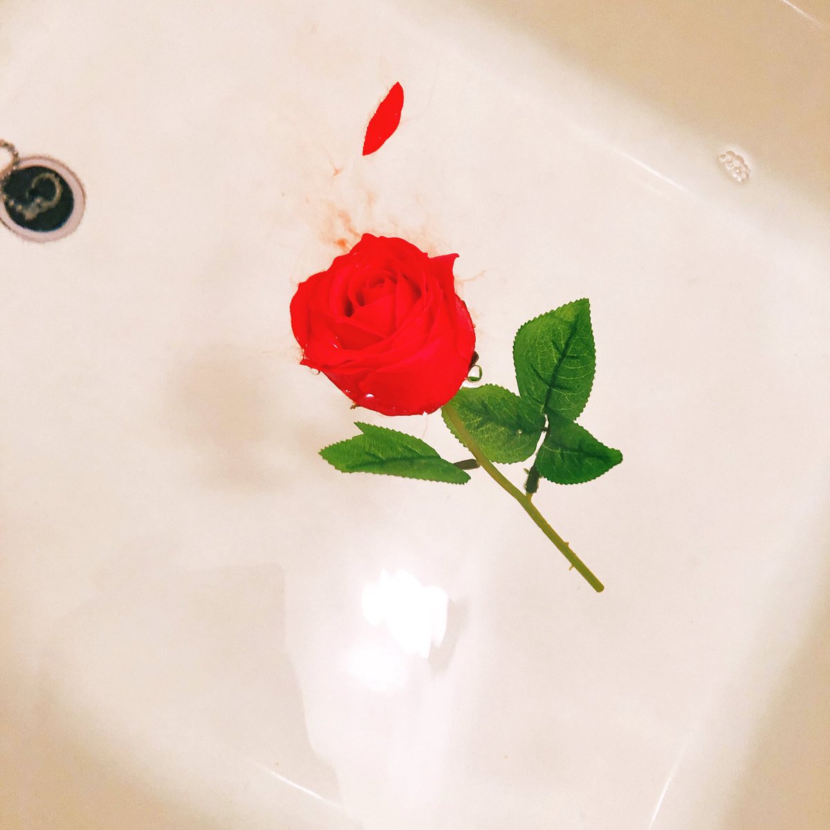 カワニシマオ ウイスキー漫画 En Twitter 送別の品で会社の人から薔薇一輪が入浴剤になってるオシャレなやつもらったので使ってみたら 使用方法間違えちゃって湯船が殺人現場みたいになってしまった 色がリアルな血の色で怖さを感じる