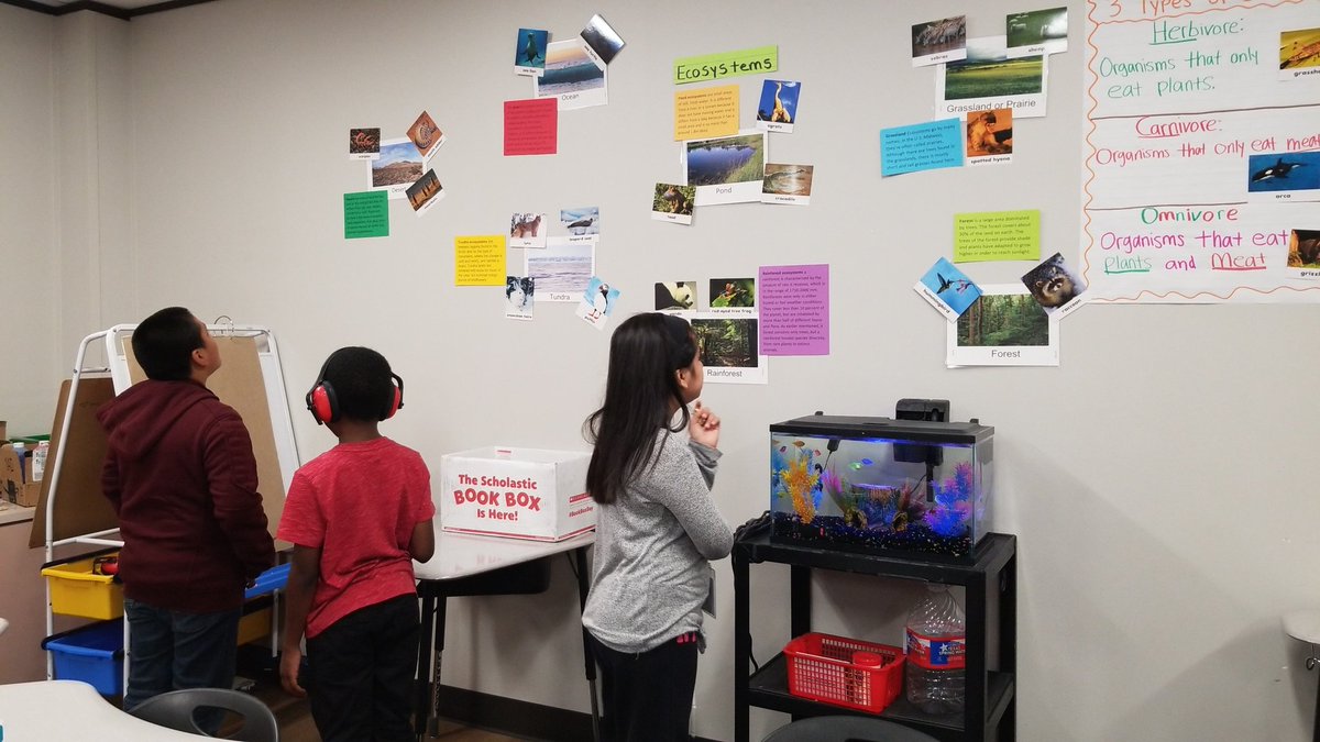 Ecosystems wall #BeWillbern #willberntweets