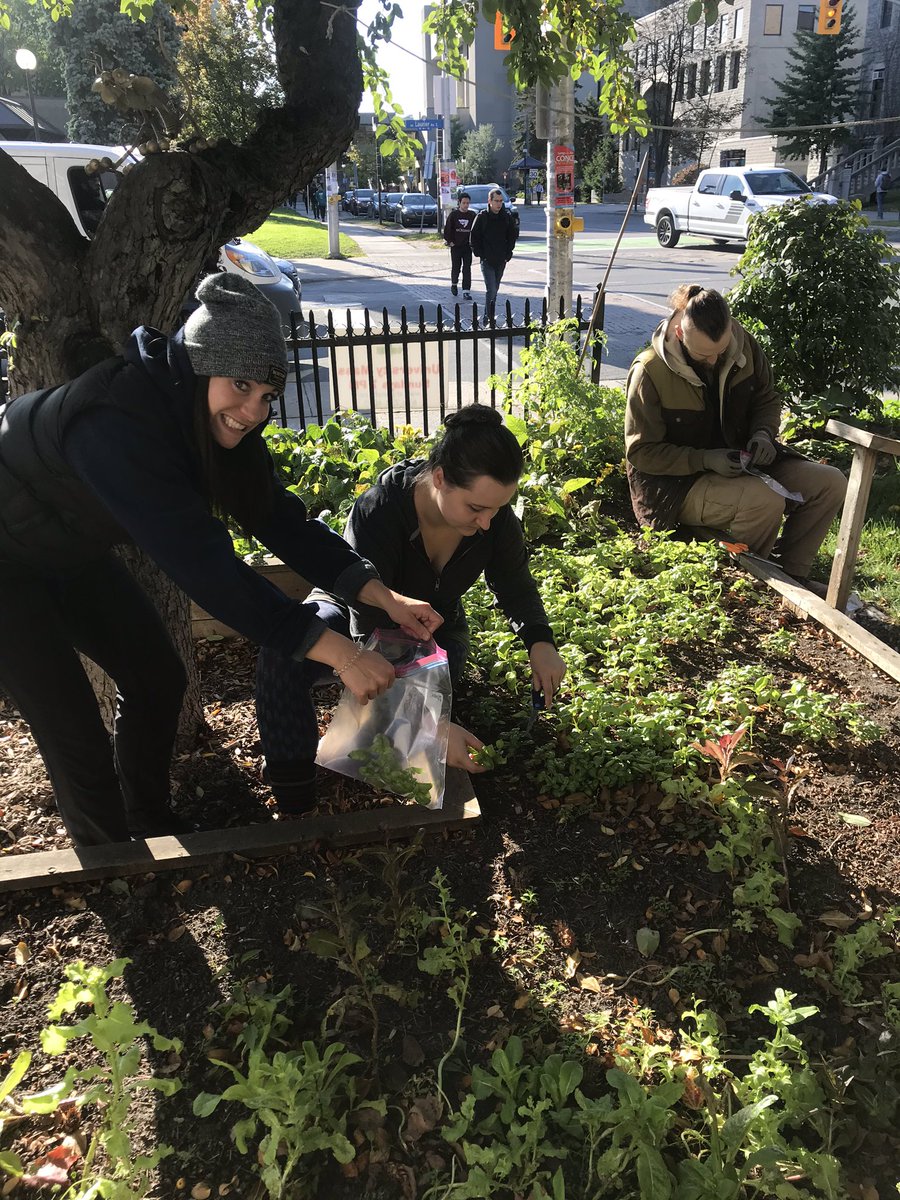 Brittany Roberto tweet media