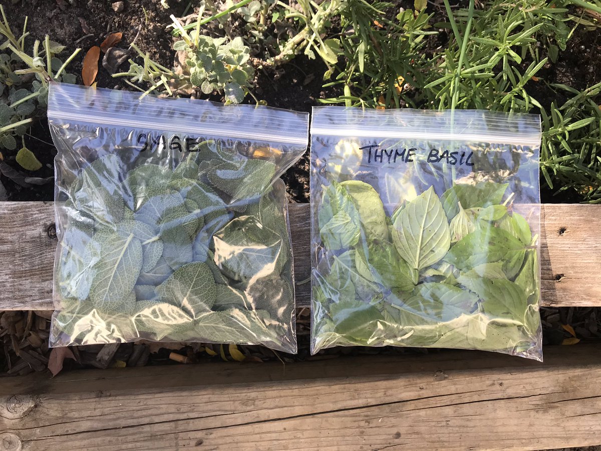 Brittany Roberto tweet media