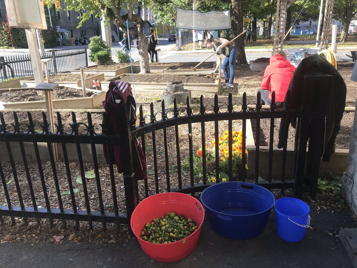 Brittany Roberto tweet media