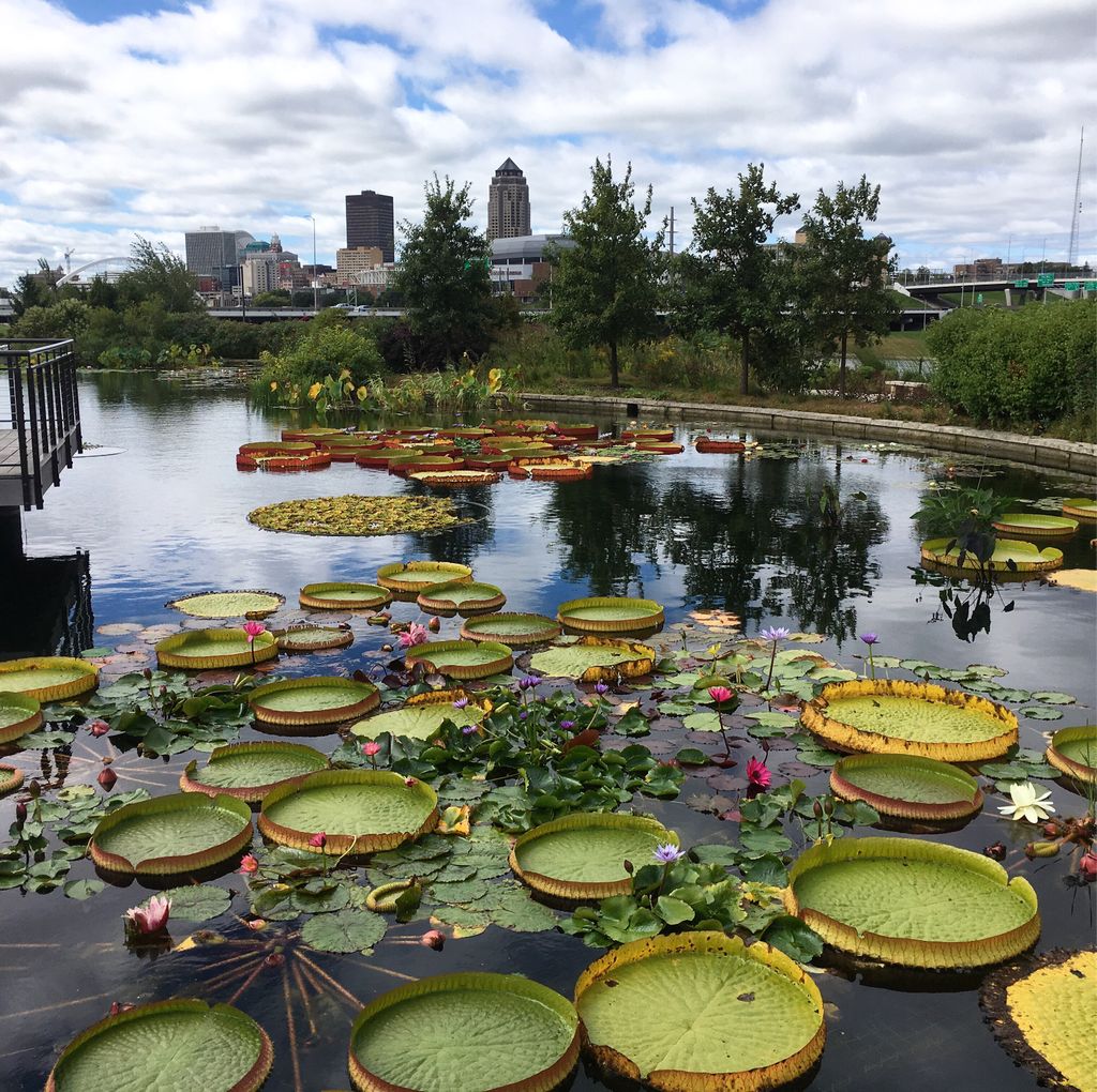 Love the Greater Des Moines Botanical Garden! With roses, palms, water lilies and so much more in just 7 acres #iowa #gardens #desmoines