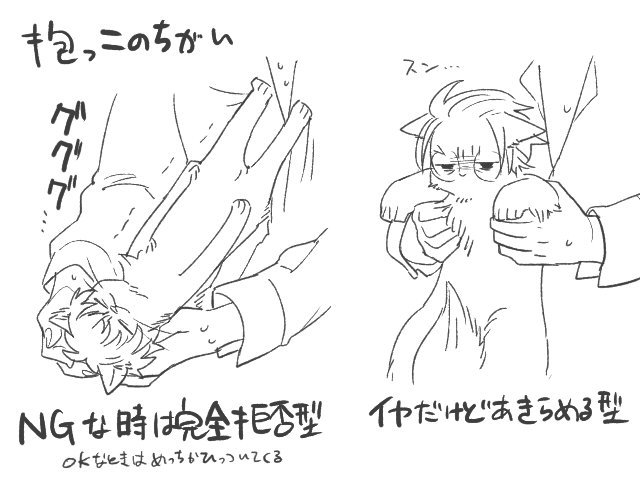 どついたれ🐱🐱 