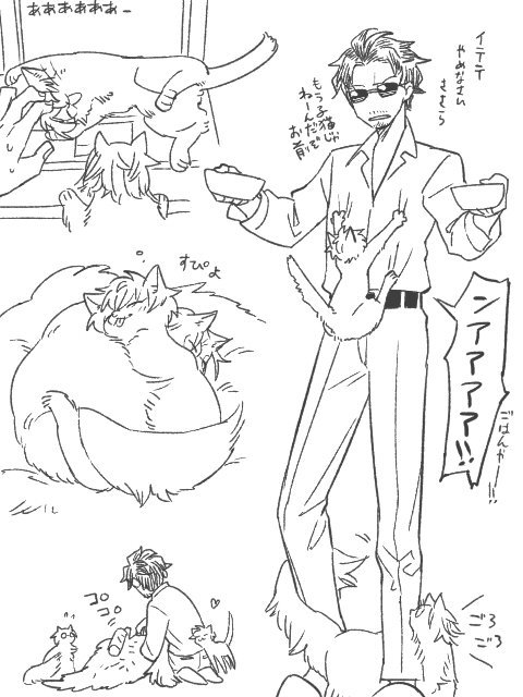 どついたれ🐱🐱 