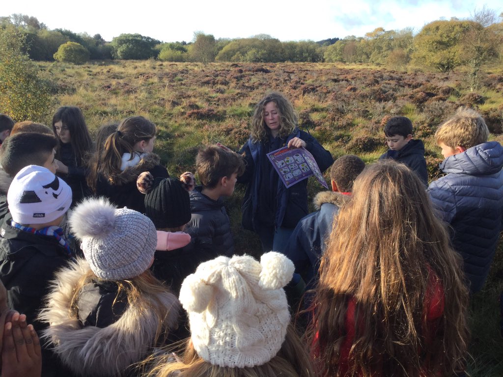 SchoolHillside1's tweet photo. #P7Hillside had fun exploring #PortlethenMoss today as they investigated life cycles and food webs of creatures and plants there. The pond dipping was great. Apologies for the muddy shoes! A huge thank you to Helen from @Aberdeenshire #RangerService for her input today. https://t.co/8GBA2GSc0I