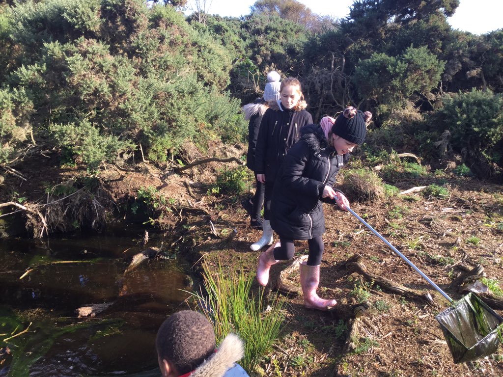 SchoolHillside1's tweet photo. #P7Hillside had fun exploring #PortlethenMoss today as they investigated life cycles and food webs of creatures and plants there. The pond dipping was great. Apologies for the muddy shoes! A huge thank you to Helen from @Aberdeenshire #RangerService for her input today. https://t.co/8GBA2GSc0I