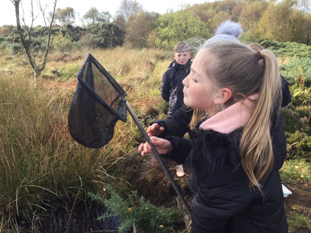 SchoolHillside1's tweet photo. #P7Hillside had fun exploring #PortlethenMoss today as they investigated life cycles and food webs of creatures and plants there. The pond dipping was great. Apologies for the muddy shoes! A huge thank you to Helen from @Aberdeenshire #RangerService for her input today. https://t.co/8GBA2GSc0I