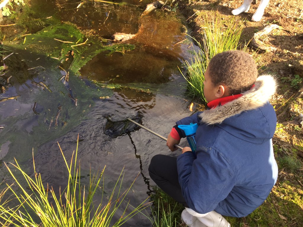 SchoolHillside1's tweet photo. #P7Hillside had fun exploring #PortlethenMoss today as they investigated life cycles and food webs of creatures and plants there. The pond dipping was great. Apologies for the muddy shoes! A huge thank you to Helen from @Aberdeenshire #RangerService for her input today. https://t.co/8GBA2GSc0I