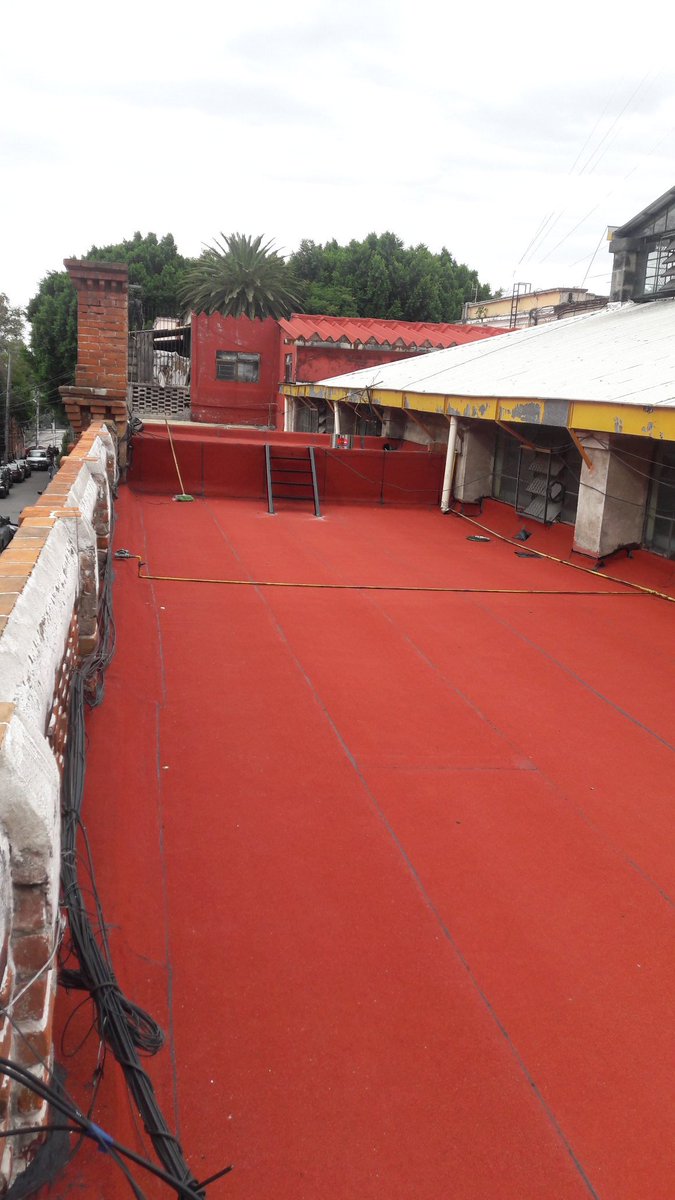 Su nueva alfombra roja, ¡hay papá!
#MercadoLaPaz