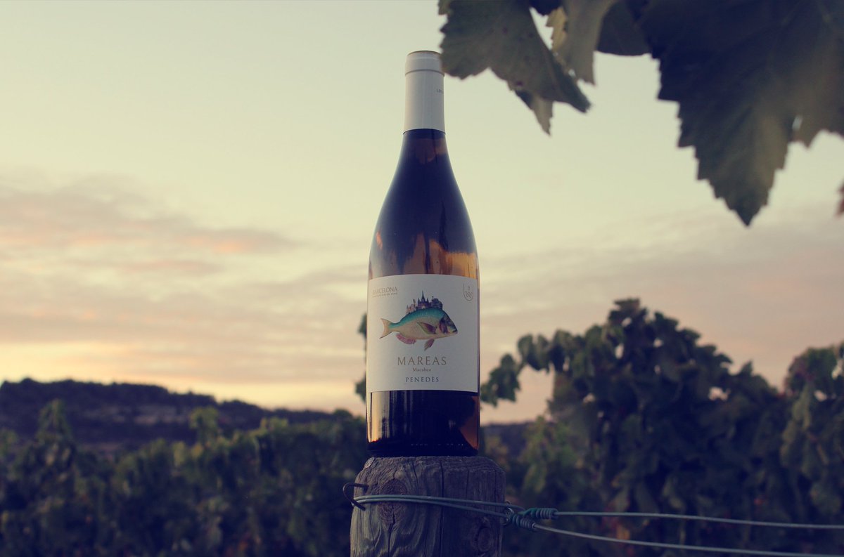 Let your senses be amazed.

Deja que tus sentidos se sorprendan.

Deixa que els teus sentits és sorprenguin.

👉 bit.ly/mareas-blanco  🐟🍇🌊🍷

#bmwine #winelovers #barcelona #mediterranean #wine #penedès
