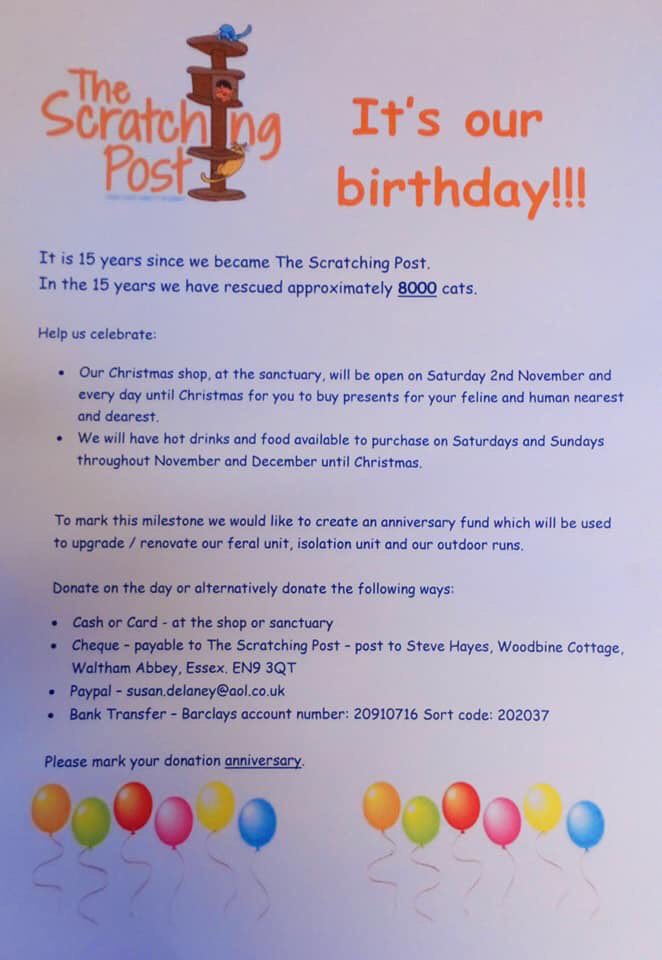 shelternews's tweet photo. ***SPECIAL ANNOUNCEMENT***

Happy Birthday to us!!!! 🎉🎉

Please read the poster, share and help us celebrate!!!

Look at these pictures! These were taken when we first moved into our current site. Help us to future proof the charity and let's see what we can achieve together 😸 https://t.co/aQxTNzl1iV