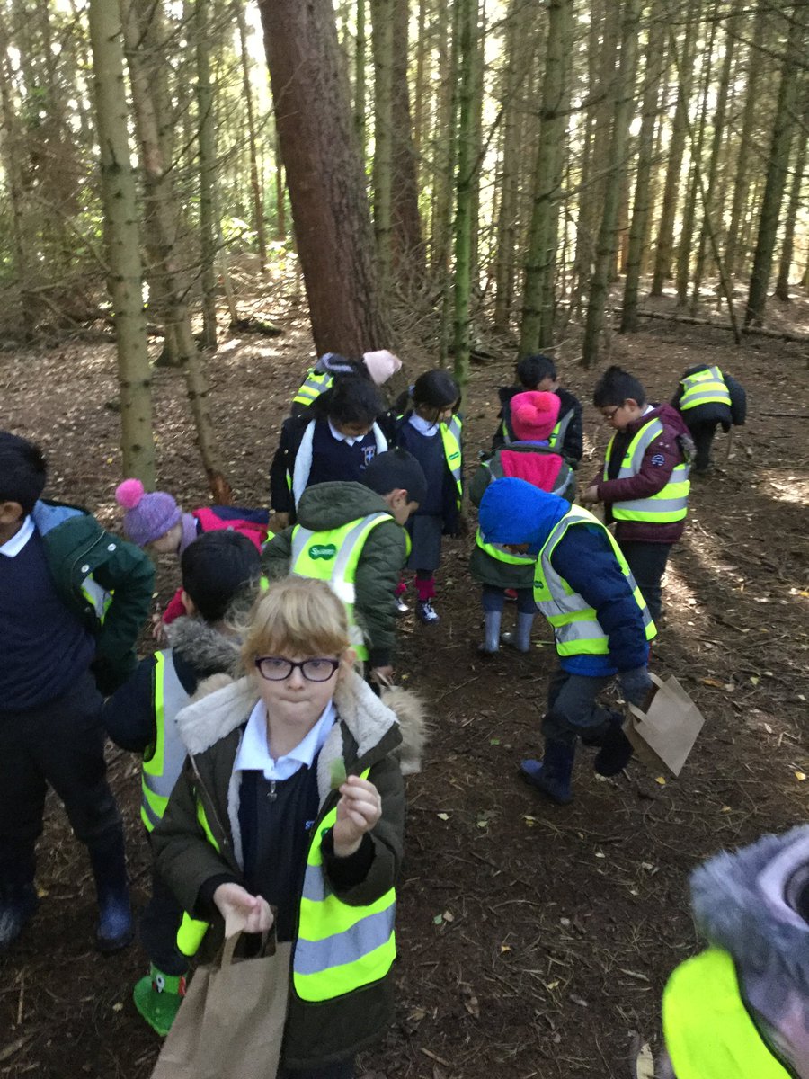 MissHunter20's tweet photo. Class 1 had a fantastic adventure in St Ives woods today. We found a bear house, a bear cave, autumn items, and even had time to make Mr Booth a sand pie for his birthday yesterday! @stanneskly #bestdaysoftheirlives #class1 #mentalhealth #woodlandwalk #sandpie #year1 #learning https://t.co/qNdyFc9OZH