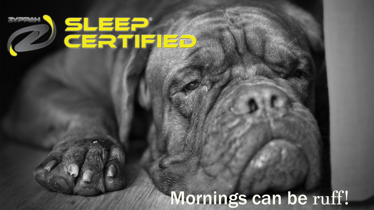 Sleepcertified's tweet image. Did you know 22 million Americans suffer from #sleep apnea? You don’t have to suffer. Go to sleepcertified.com to find a better alternative for traditional sleep treatment

#Instagramdarkmode #TuesdayMorning #sleepcertified #sleep #SleepingBeauty #goodmorning #tired #coffee