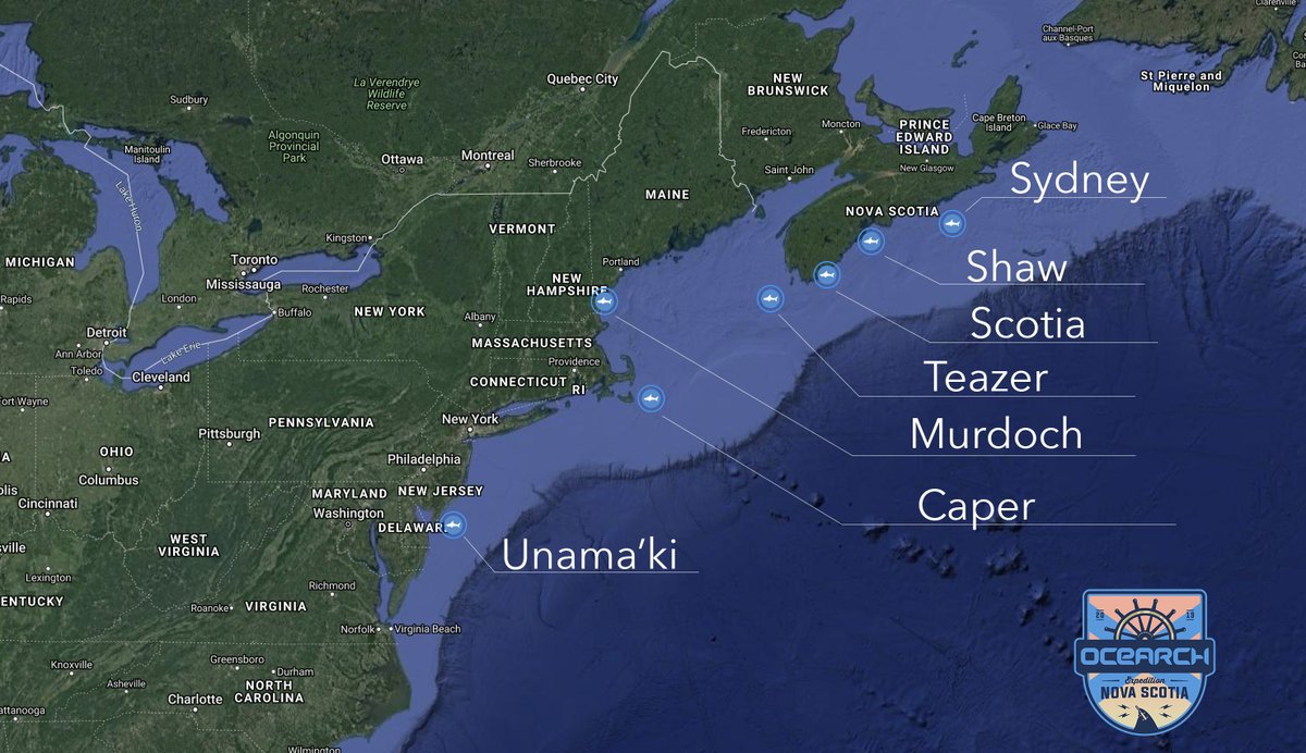 Gotta admit, definitely feeling a little left out with all these new pings happening on the <a href="/OCEARCH/">OCEARCH</a> Tracker. Gonna double down on getting this stupid pinger of mine working again.